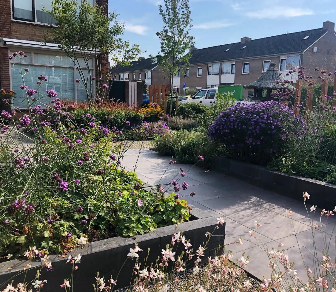 Beplanting in een klassieke tuin in Malden. Tuinaanleg van een klassieke voortuin in Malden. Tuin is ontworpen door de tuinarchitecten en aangelegd door de hoveniers van Uw Tuin Hoveniers uit Malden.