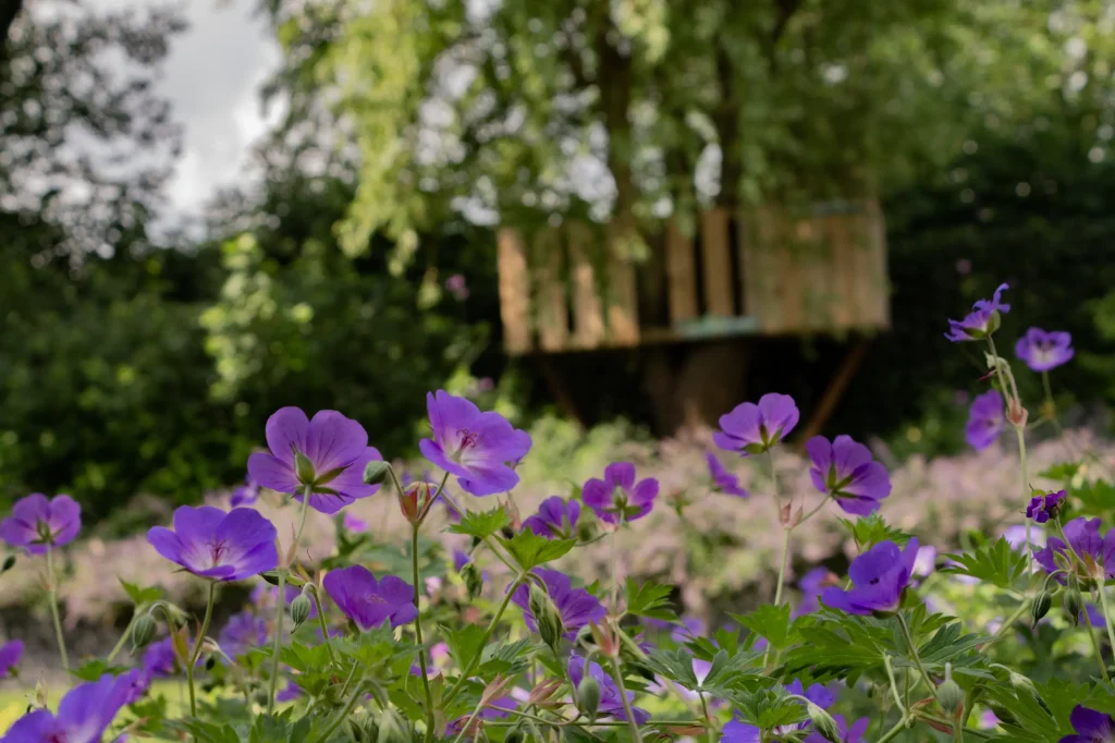 Beplanting in een bostuin in Huissen. Tuinaanleg door Uw Tuin Hoveniers uit Malden.