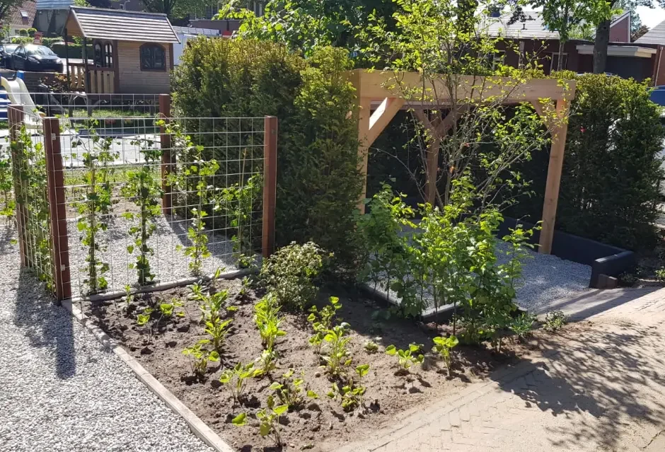 Beplanting in voortuin in Malden